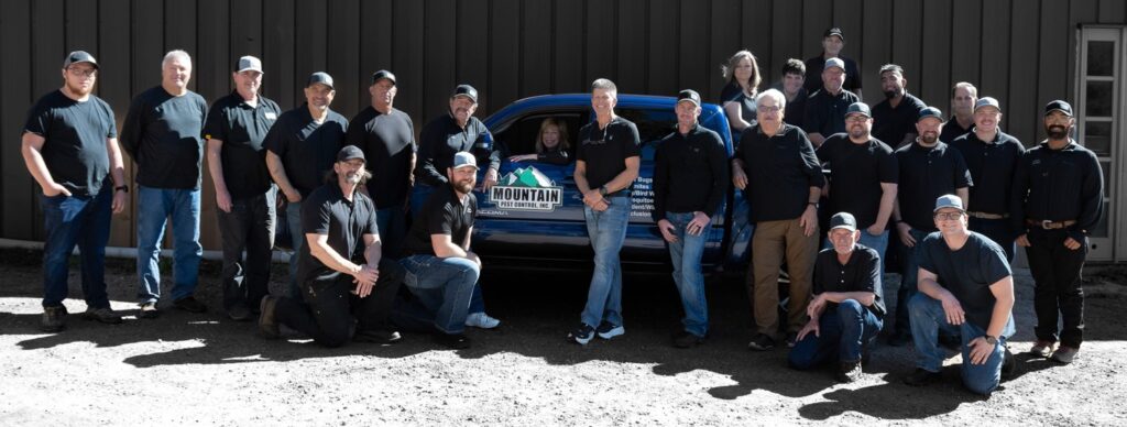 Vail Pest Control Company - Mountain Pest Control